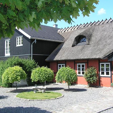 Lolland Bed & Breakfast Sollested  Exterior foto