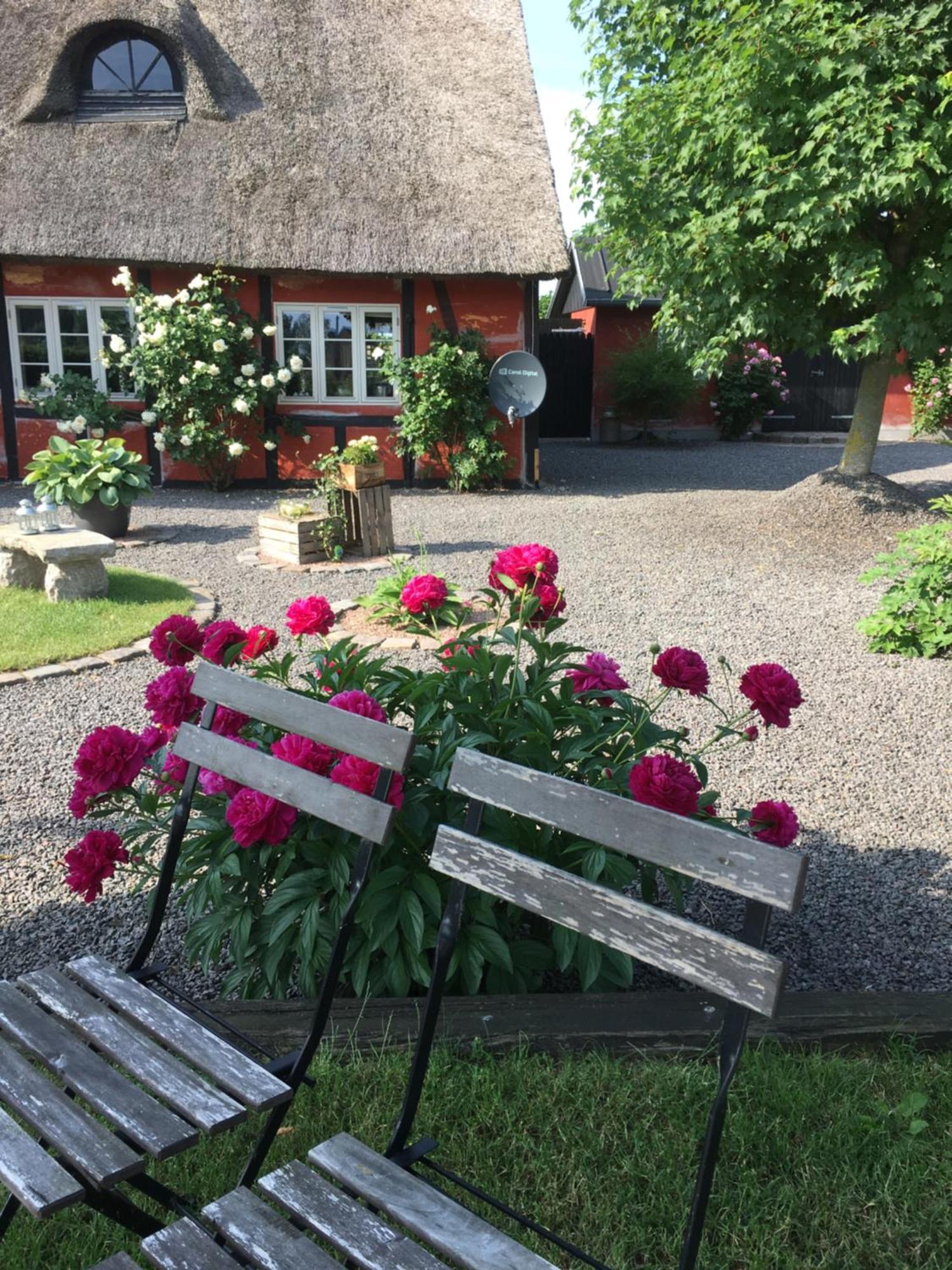 Lolland Bed & Breakfast Sollested  Exterior foto